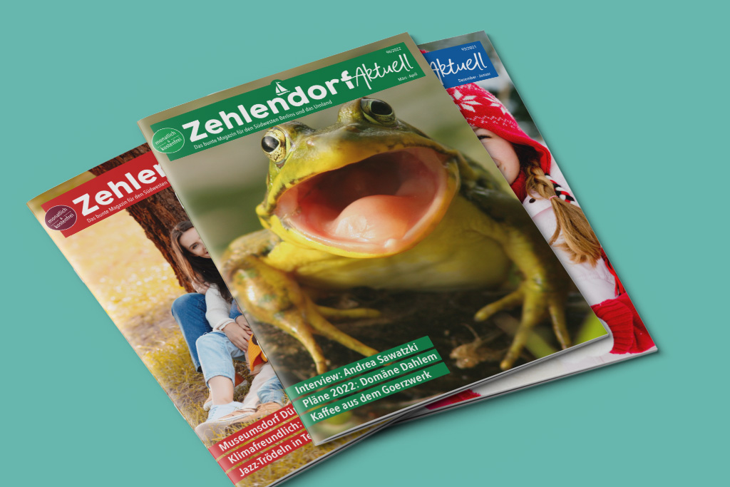 Drei Ausgaben des Magazins "Zehlendorf Aktuell" übereinander gestapelt auf farbigem Untergrund