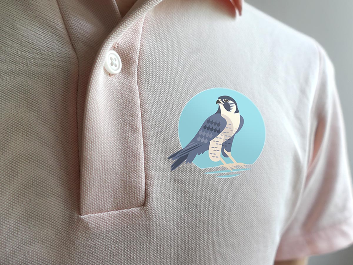 falkensee-logo-falke-shirt-isabel-gewecke Falkenillustration mit blauem Hintergrundkreis auf hellrosafarbenem Poloshirt – Design: Isabel Gewecke.