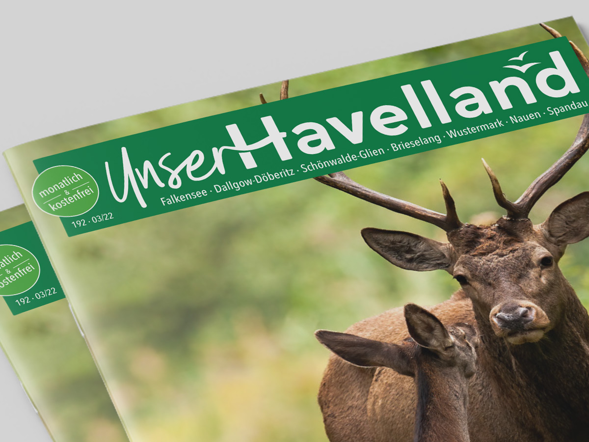 Magazintitel „Unser Havelland“ mit Tierfoto. Design des Schriftzuges: Isabel Gewecke